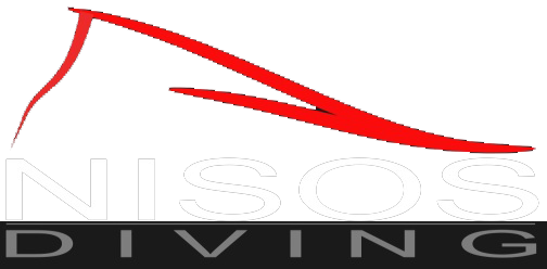 logo2.png