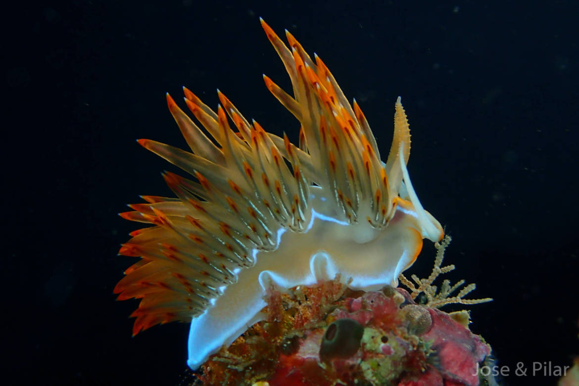 18-scaled.jpg
