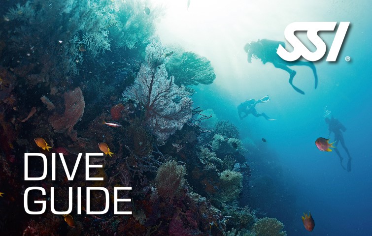 Dive-Guide.jpg