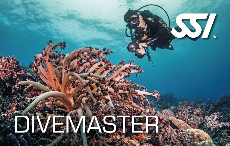 Divemaster.jpg