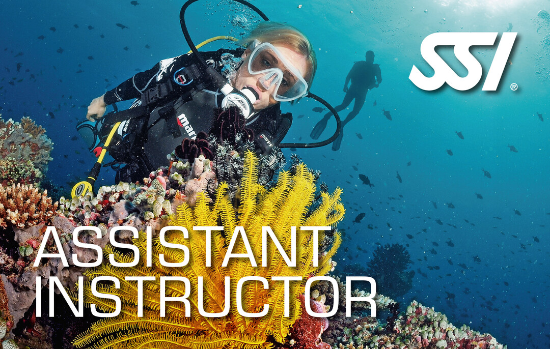 Presentation-Assistant-Instructor.jpg