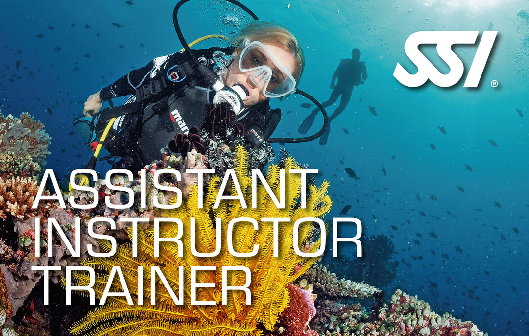 Presentation-Assistant-Intructor-Trainer.jpg