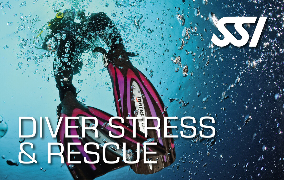 Presentation-Diver-Stress-Rescue.jpg
