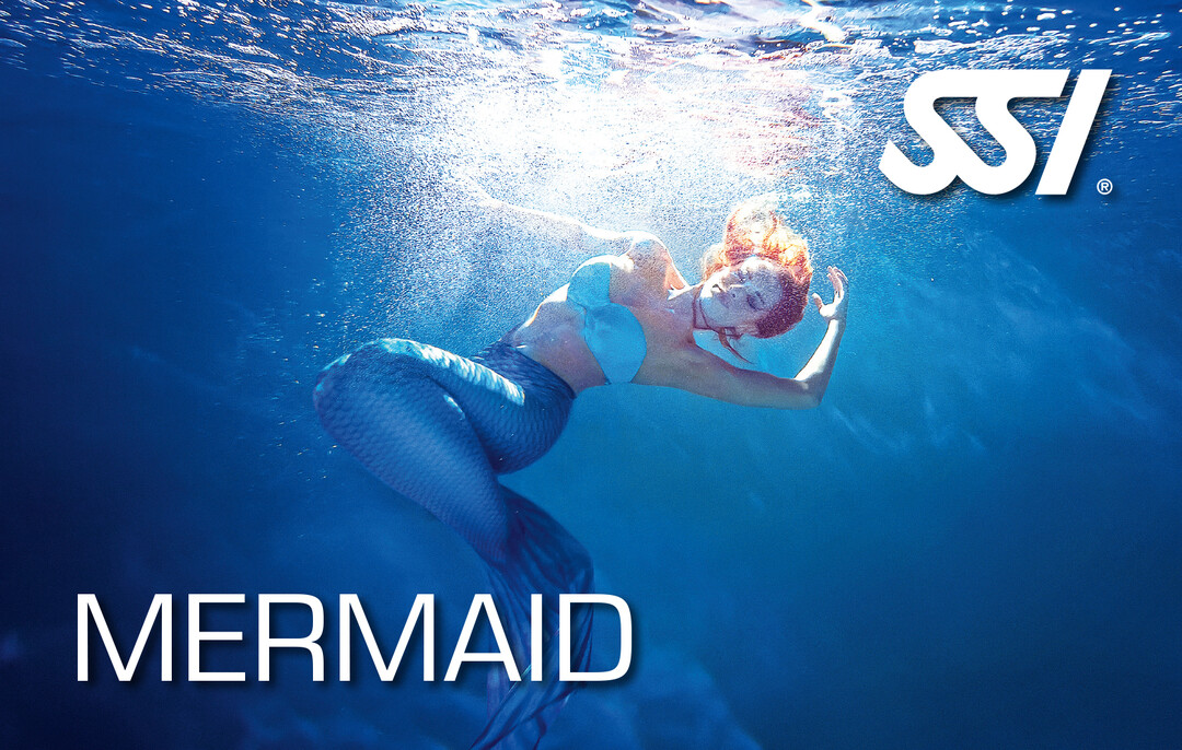 Presentation-Mermaid.jpg