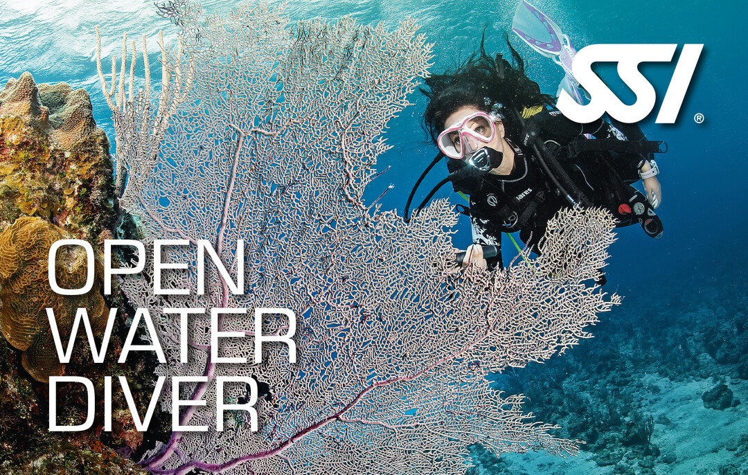 Presentation-Open-Water-Diver.jpg