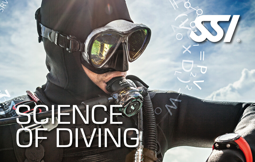 Presentation-Science-of-Diving.jpg