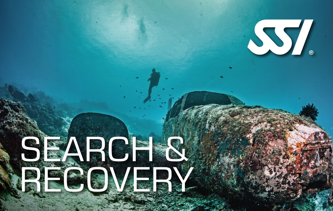 Presentation-Search-Recovery.jpg