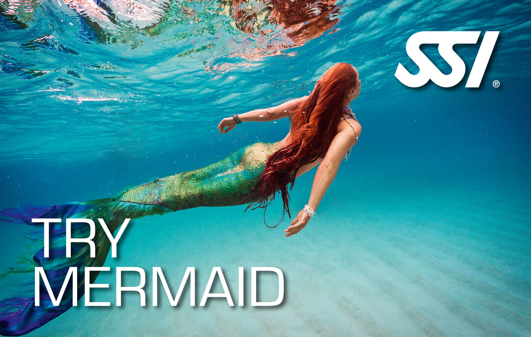 Presentation-Try-Mermaid.jpg