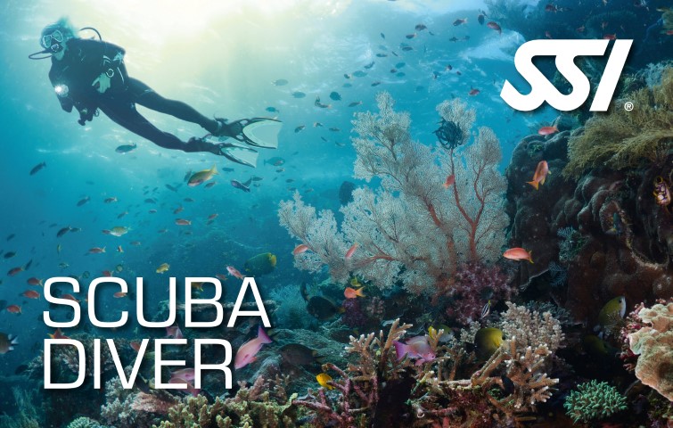 Scuba-Diver.jpg