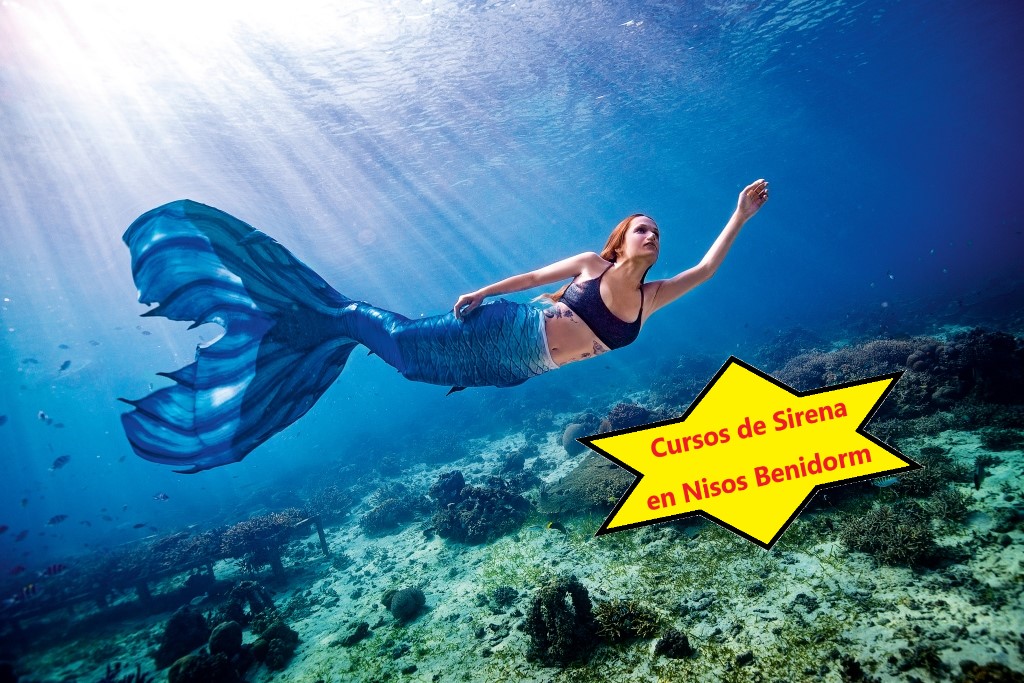 Mermaid-Image9-comprimido-con-cartel.jpg